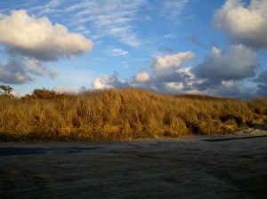 christmas day 50 degrees