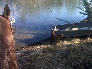 Duck blinds hunting boats canadian geese