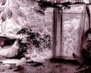 botanical gardens miami